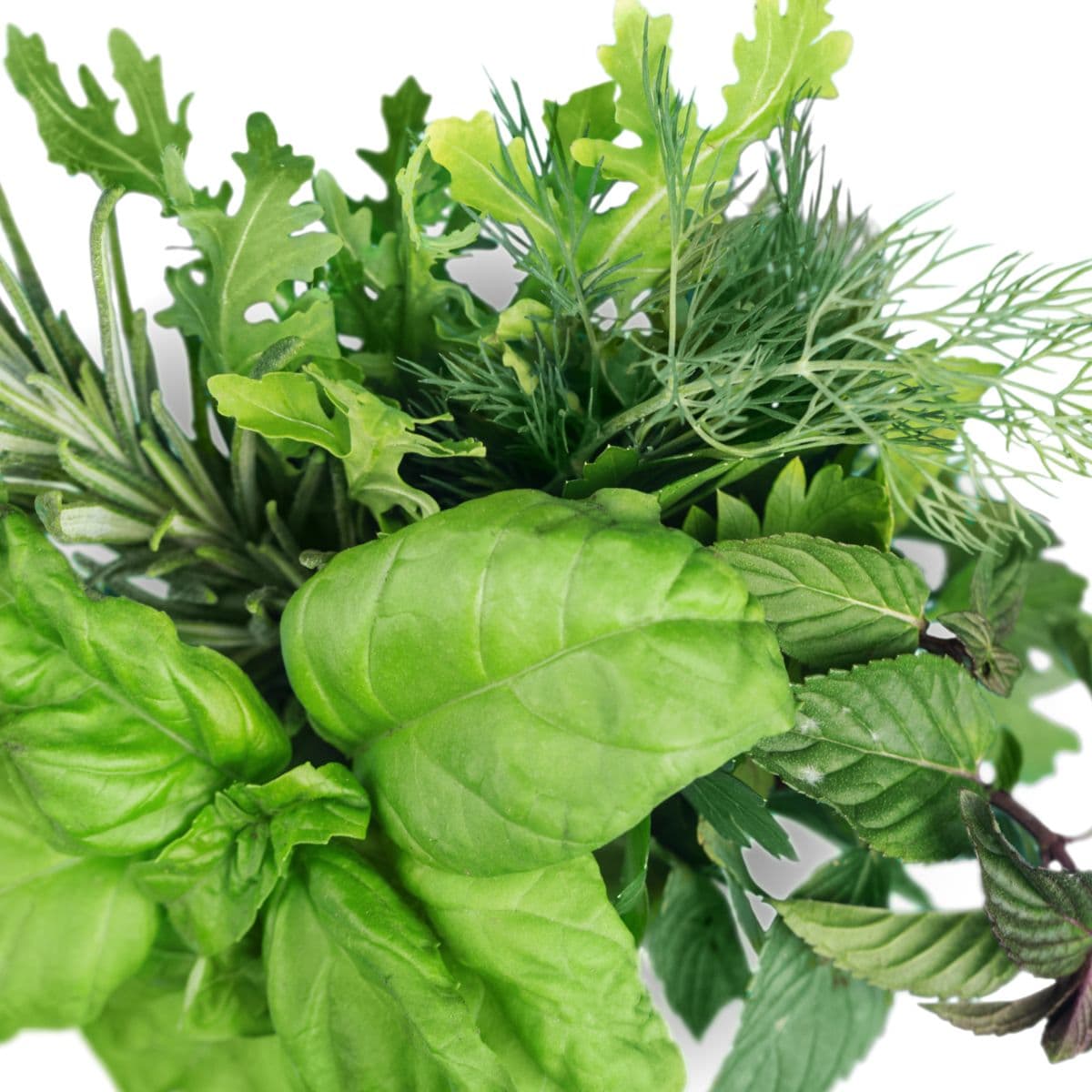 Sample Organic Salad Greens