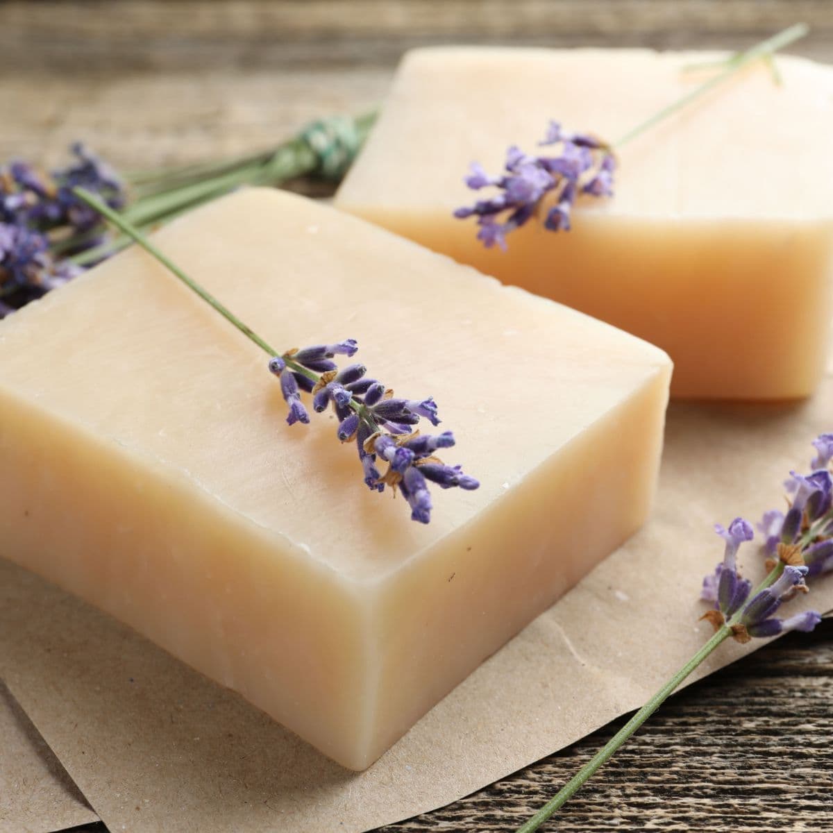 Sample Lavender Goat Milk Soap