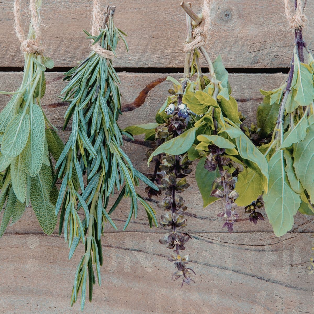 Sample Dried Herb Bundle
